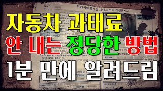 자동차 과태료 범칙금 무조건 내지 마세요 억울하다 잘못이 없다면 이 방법이면 과태료 안내도 됩니다 [upl. by Idnib]