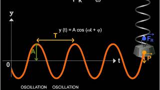 Oscillations harmoniques exemple dun ressort [upl. by Milks]