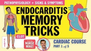 Endocarditis Pathophysiology signs and symptoms for nursing students NCLEX review [upl. by Harod]