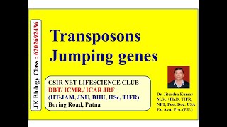 Transposons Jumping genes Types DNA amp Retrotransposons  Video lecture of Dr Jitendra Kumar [upl. by Annwahsal389]