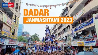 Janmashtami 2023 A Peek Inside DahiHandi Celebrations In Dadar [upl. by Assirrak]