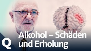 Wie gut kann sich der Körper vom Alkohol erholen  Quarks [upl. by Yancey]