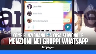 WhatsApp come funzionano le menzioni nei gruppi [upl. by Ytissahc]