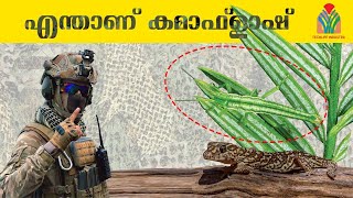 What is Camouflage Uniform  എന്താണ് കമാഫ്ലാഷ് യൂണിഫോം  Animal Camouflage [upl. by Adniroc872]