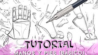 COMO DIBUJAR MANOS Y PIES NIVEL BÁSICO  Why So Gurin [upl. by Ymeraj]