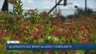 Tree Pollen Counts Running Higher this Spring According to Lee Health [upl. by Anawat573]