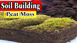 Everything You Need to Know About Sphagnum Peat Moss [upl. by Sharai273]