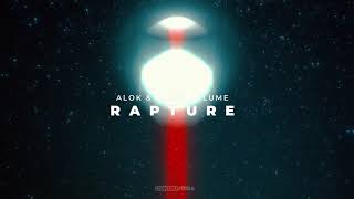 Alok amp Daniel Blume  Rapture Official Music Video [upl. by Merridie]