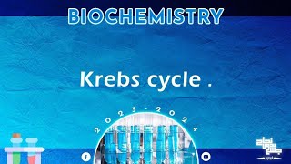 Rev L12 CHO metabolism 3 Oxidative decarboxylation of pyruvic acid and Krebs cycle Biochemistry [upl. by Markiv396]