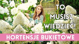 HORTENSJE BUKIETOWE w ogrodzie  Wszystko co musisz wiedzieć [upl. by Skillern]