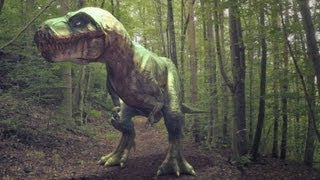 Jurassic Dino Forest  Dinosaur Animation [upl. by Reifel]