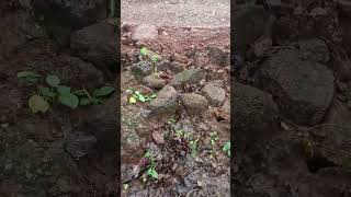 Bauxite Mining Vlog  Netarhat Hill  vlog KrishnenduDasNGI [upl. by Pape]