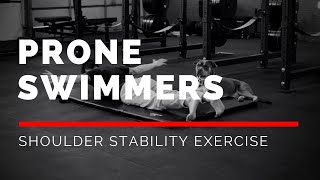 Prone Swimmers EASY Upper Back Strengthening Exercise [upl. by Eitsirc]