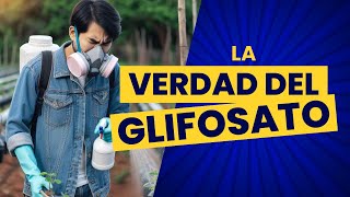 ¿Qué es el glifosato 🌱  ¿Para qué sirve este herbicida 🚜  Situación en México y el mundo 🌎 [upl. by Sundin577]