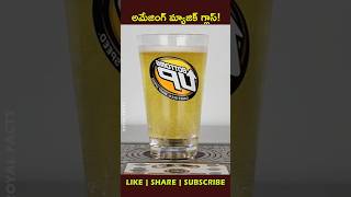 Beers🍻 from the bottom uphow factsintelugu youtubeshorts shortvideo [upl. by Assirt77]