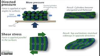 LESSON 6 METAMORPHISM [upl. by Forbes]