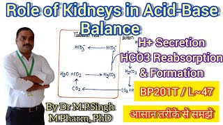 Role of Kidneys in AcidBase Balance  Urinary System  Human Anatomy PhysiologyII  BP201T  L47 [upl. by Calder]