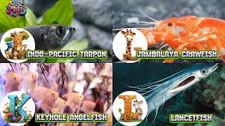 ABC Sea Animals song  Learn Alphabets  English and Animals for Kids  Alphabets Kids Song [upl. by Marcella838]