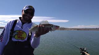 Trolling Leadcore to Target Deep Walleye In Cold Water [upl. by Hummel722]