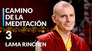 🎯Lama Rinchen Gyaltsen  Venciendo Obstáculos en la Meditación [upl. by Cyril561]