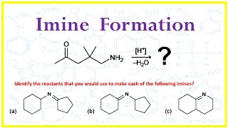 Formation of Imine Properties and Mechanism [upl. by Vaughan]