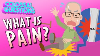 What Is Pain  COLOSSAL QUESTIONS [upl. by Hplar]