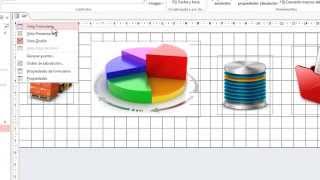 ACCESS 2010 Trucos codigo Gif en formulario [upl. by Neelrahs]
