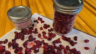 Dehydrating Cranberries [upl. by Melisande]