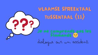 JE NE COMPRENDS PAS LES FLAMANDS 😰 VLAAMSE SPREEKTAAL  TUSSENTAAL 11 🇧🇪 pour CÉSAR ❤️ [upl. by Horne]