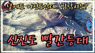 신진도 우럭낚시 이제 가셔도됩니다  짧은영상으로 생존신고♥ [upl. by Sergius973]