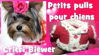 Passion Tricot Tout pleins de pulls pour chiens [upl. by Adnowat]