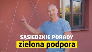 Jak zbudować podporę dla roślin pnących Sąsiedzkie Porady [upl. by Saphra]