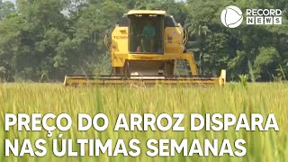 Preço do arroz dispara nas últimas semanas [upl. by Dauf339]