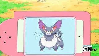 Purugly Pokédex Entrywmv [upl. by Akaenahs]