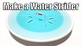 Make a Water Strider  STEM Activity [upl. by Lienhard]