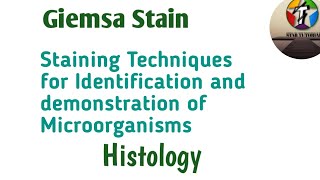 Giemsa Stain ll Staining Techniques for Identification and demonstrate of Microorganisms llHistology [upl. by Artenak473]