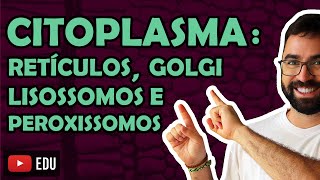 Citoplasma Retículos Golgi e Lisossomos  Aula 22  Módulo I Biologia Celular  Prof Gui [upl. by Rolo]