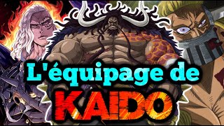 LÉQUIPAGE DE KAIDO EXPLIQUÉ  ONE PIECE [upl. by Akcemat256]