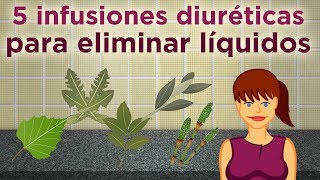 5 infusiones diuréticas para eliminar líquidos [upl. by Doralynn]