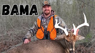 ALABAMA DEER HUNTING January Rut Hunt [upl. by Garwin237]