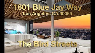 The Bird Streets  1601 Blue Jay Way Los Angeles CA 90069  Rita Benelian [upl. by Anecuza]