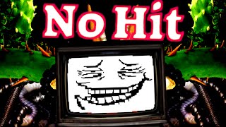 Undertale  No Hit Flowey 2 Segments [upl. by Amalita]