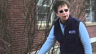 How to Prune a Lilac Bush [upl. by Aneej]