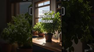 Health Benefits of Oregano [upl. by Dirfliw]