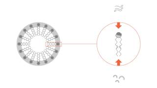 What is a micelle [upl. by Narhem]