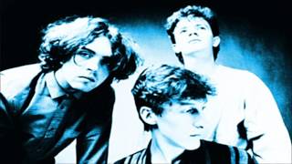 The Icicle Works  In The Dance The Shaman Led Peel Session [upl. by Attekram]