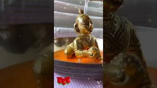 Shir Krishna Govind  Laddu Gopal Birthday  shorts viralvideo trending yt youtubeshorts 4k [upl. by Notsreik]