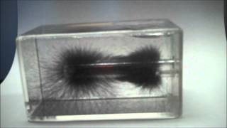 Magnetic Field lines 3D [upl. by Atalayah491]