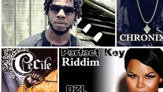 African King Remix  Cecile Ft Chronixx [upl. by Mira]