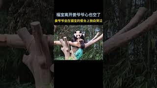 《再见爷爷》电影公开姜爷爷最新画面，姜爷爷坐在福宝曾经坐的餐台上独自哭泣，回忆与福宝的种种过往，福宝离开了，姜爷爷的心也随着空了。 [upl. by Hcardahs933]